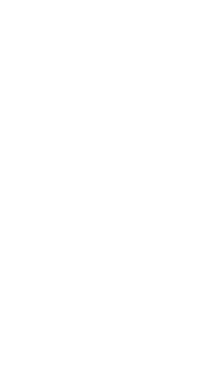 A1