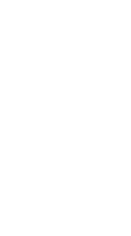 D13