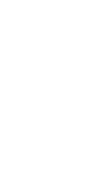 C2