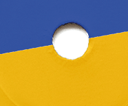 Vinyl record on white background, isolated